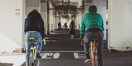 Tokyo Road Bike Tour