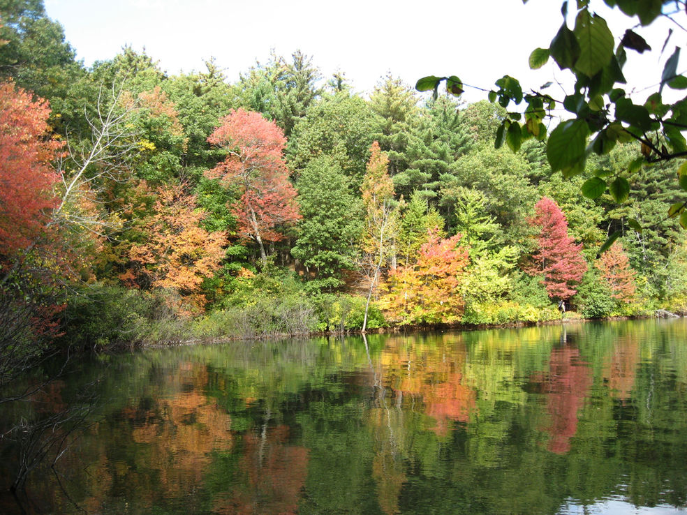 Walden pond, MA, USA בוסטון ארה"ב
