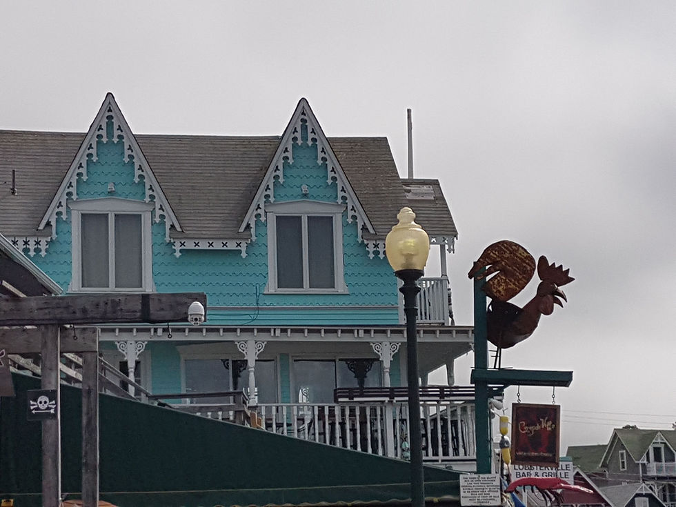 בוסטון ניו אינגלנד