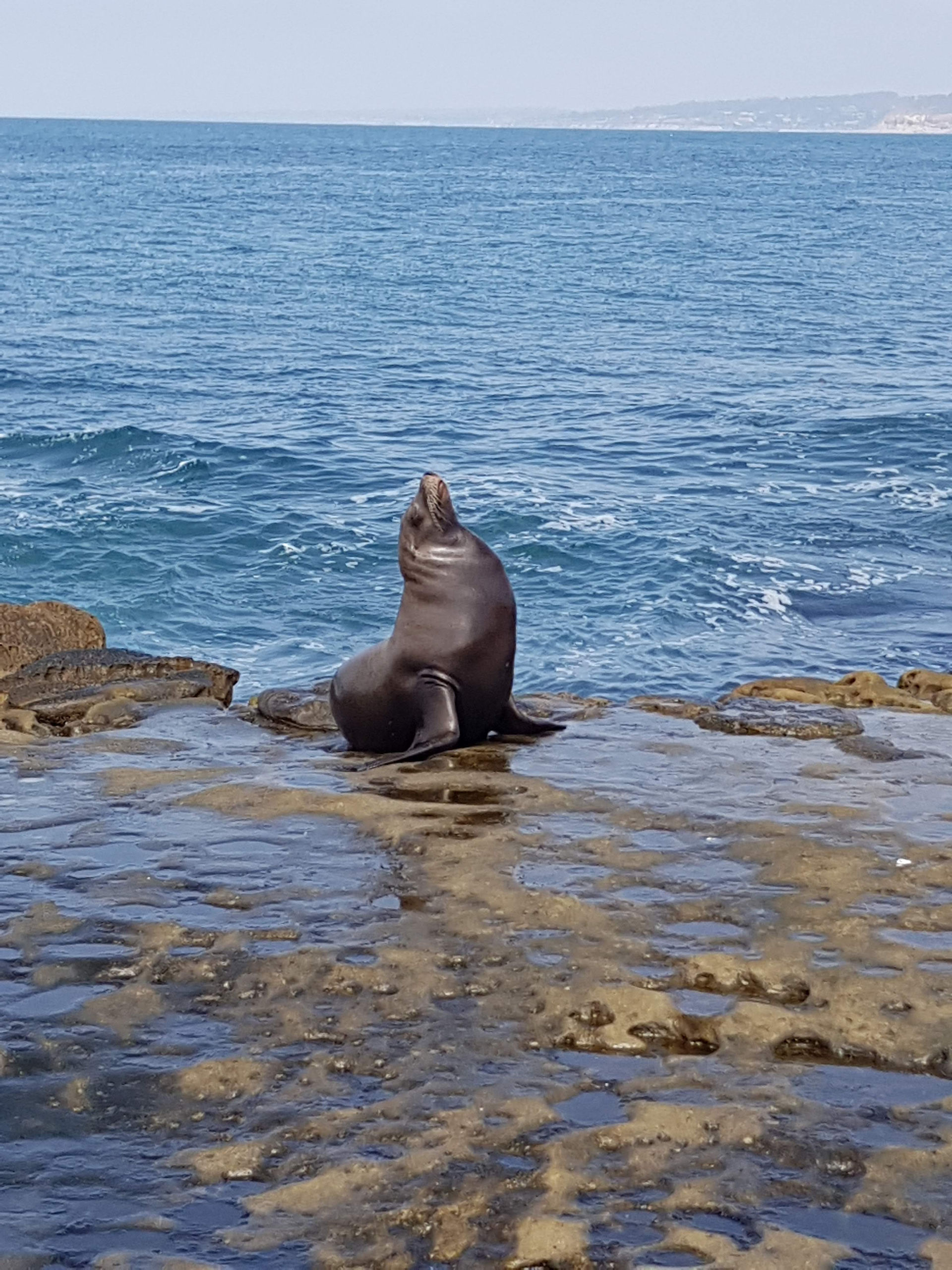 La Jolla