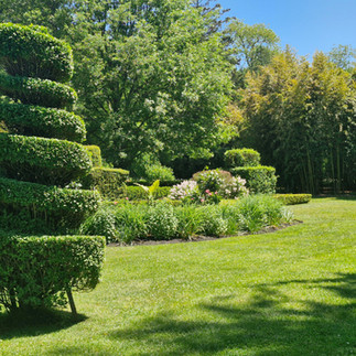 Green Animals Topiary