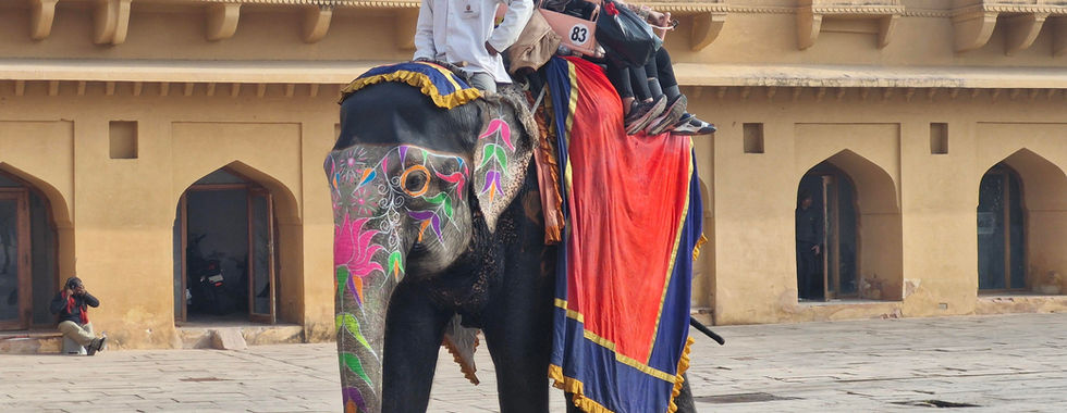 Jaipur 