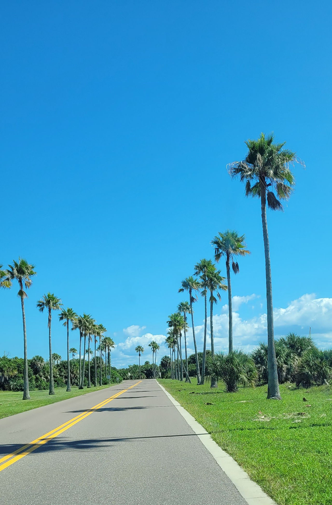 Fort De Soto Park