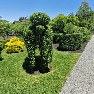 Green Animals Topiary