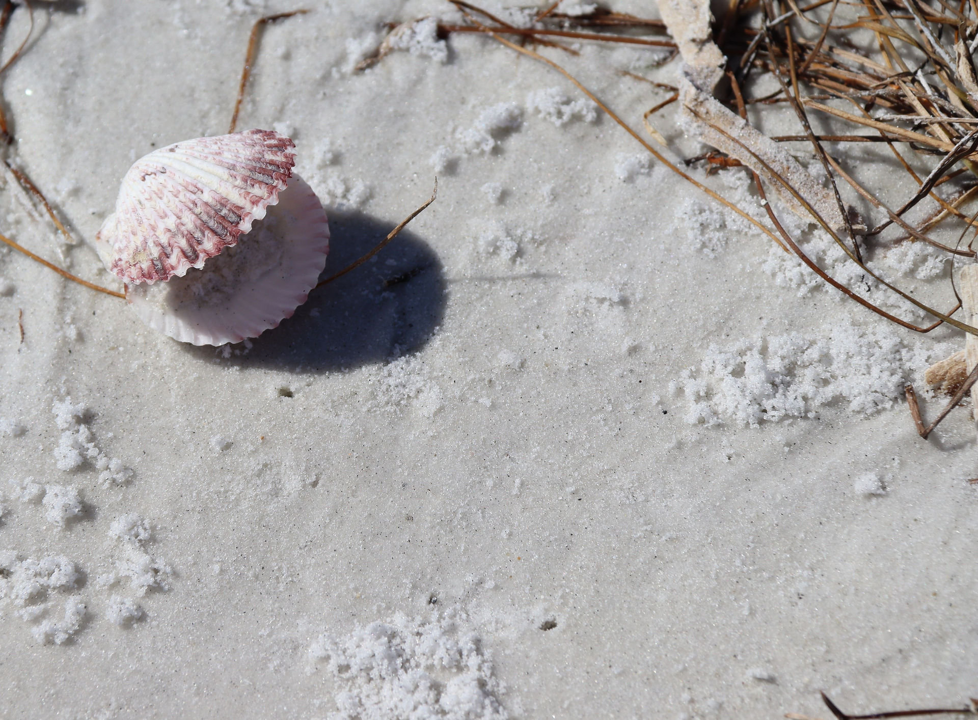 Fort De Soto Park