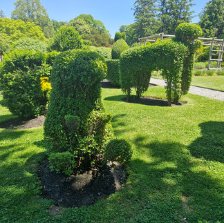 Green Animals Topiary