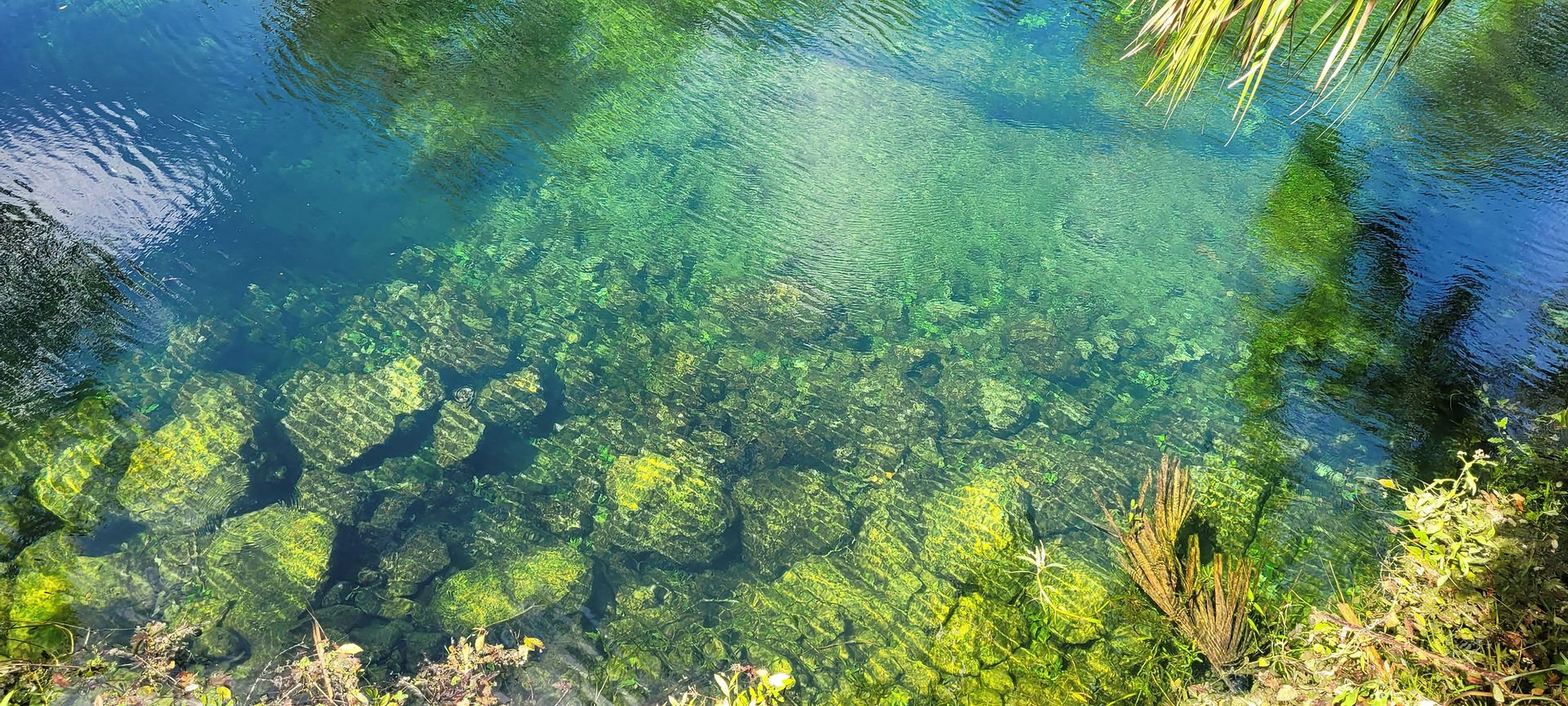 Blue spring state park