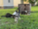 IMG_6321.jpeg