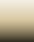 gold gradient 2.png