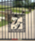 IMG_3091.jpeg