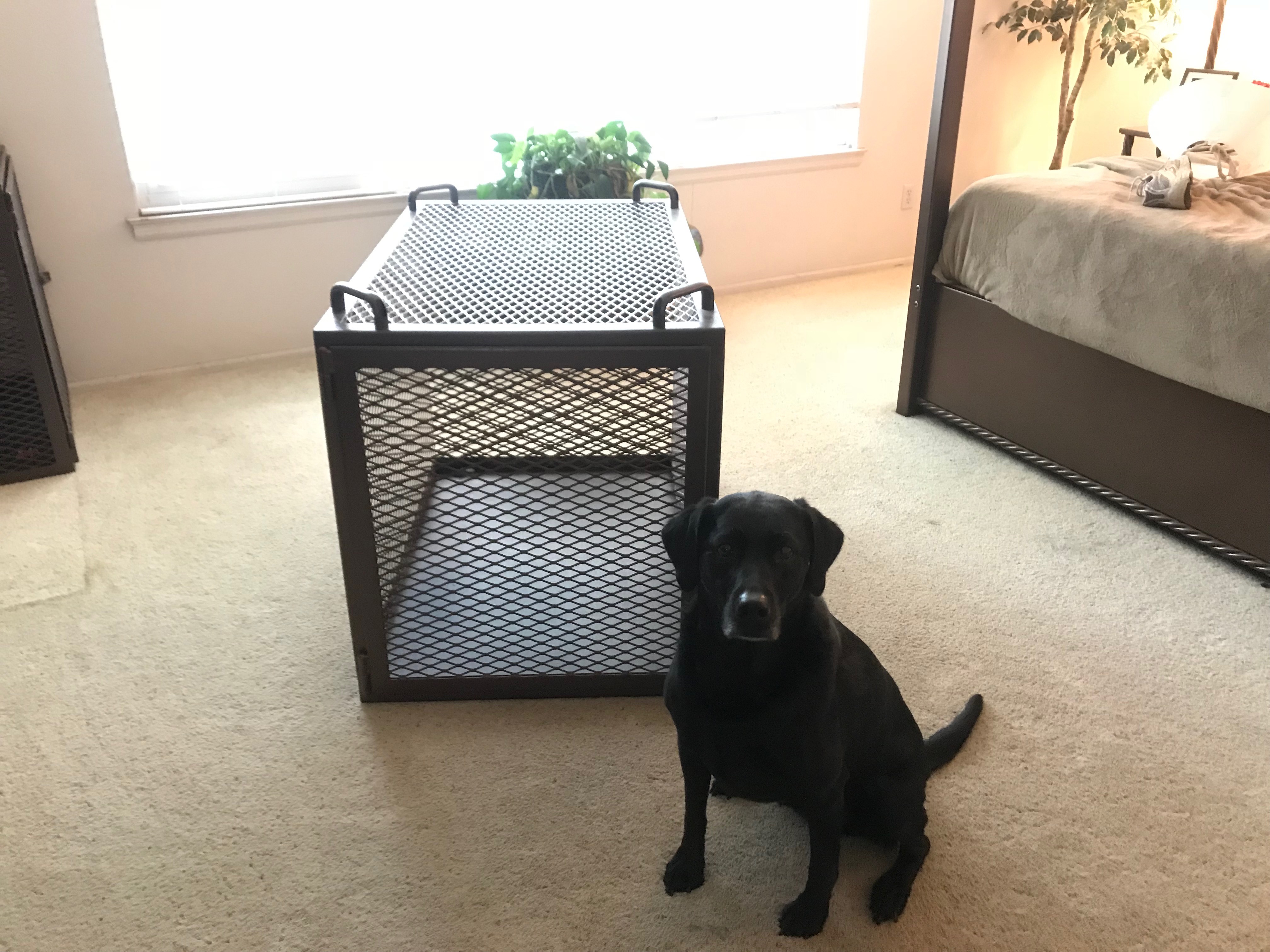 Custom Dog Crate