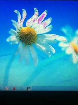 Thay màn hình laptop giá rẻ, uy tín lấy liền trong ngày