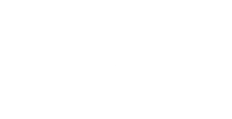 logo blanco.png