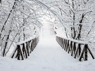 Markets were ice cold this week. 