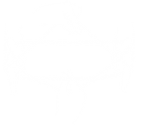 figure 10.png