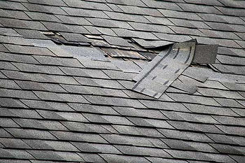 Damaged Roof Shingles