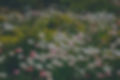 samuel-t-6GBgwEomrpk-unsplash_edited.jpg