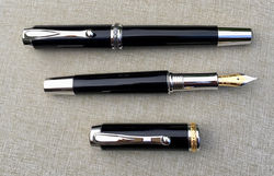 Fountain Pen and Rollerball Pen