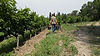 Balance-Handlese-Handwerk-Wein.jpg