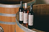 Domaine du Grand Fontanille - Weinkeller - (c) Steffen Sinzinger - 260204 -41.jpg
