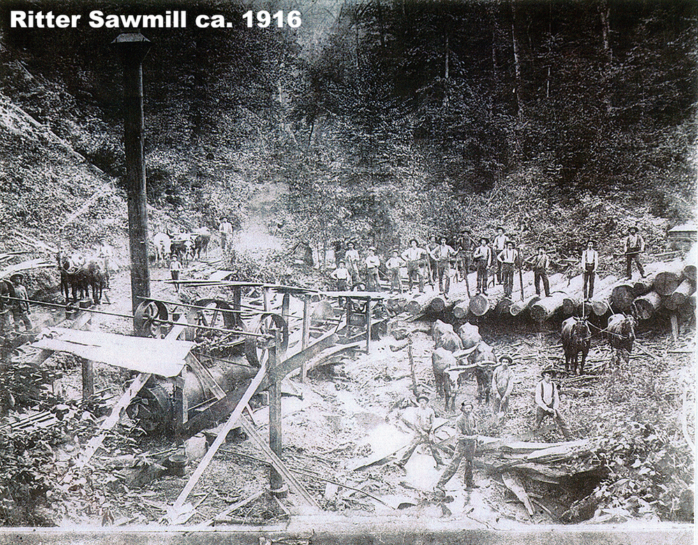 Giant Lumber Company Update