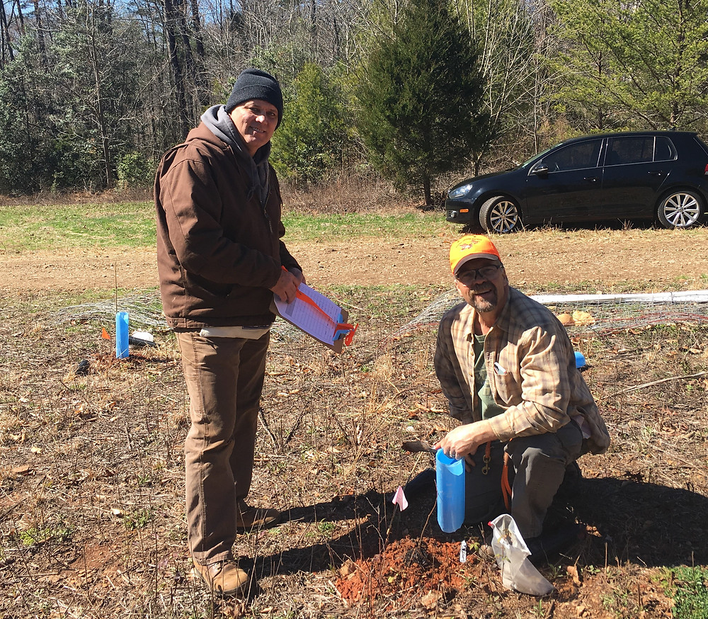 Bradley Fox (left) of Taylorsville and Fred Clodfelter (right) of Greensboro planting seedlings.