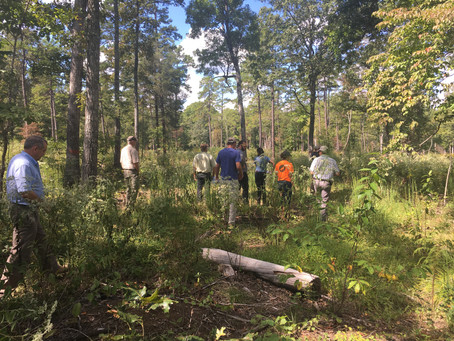 Foresters Day Off