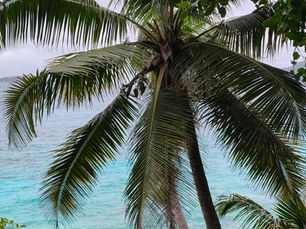 Seychellit kutsuvat – mitä asiakirjoja tarvitset ensimmäiselle matkallesi?