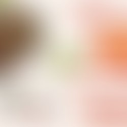 Little Local Farmers Market