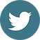 twitter_logo_blau_grau_RVB.png