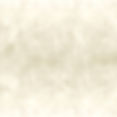 VentianPlasterTexture-min.jpg