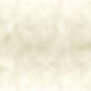 VentianPlasterTexture-min.jpg