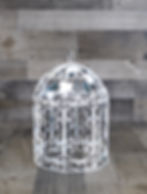 Bird Cage #8