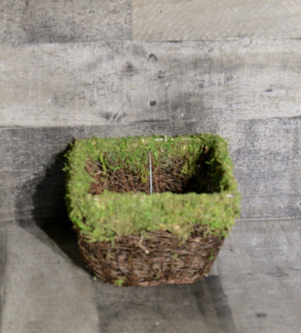 Woodland #38