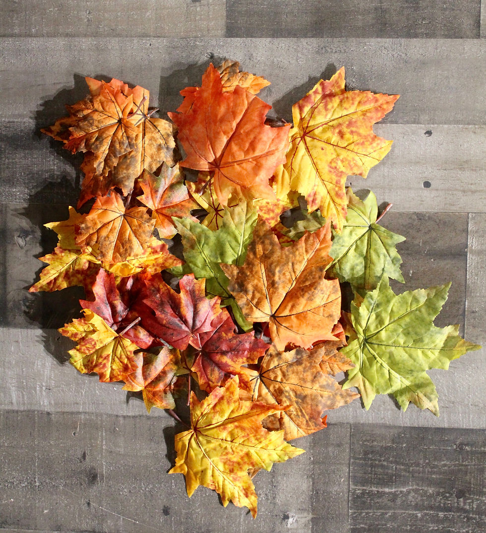 Leafs #1
