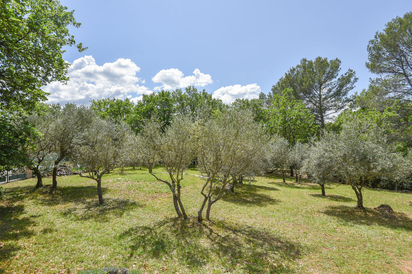 Villa Lorgues-80.jpg