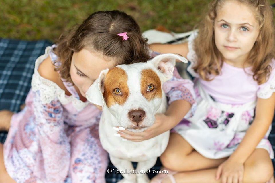 Two children hug their dog while sitting on a plaid picnic blanket. The dog has one floppy ear and one perked up.