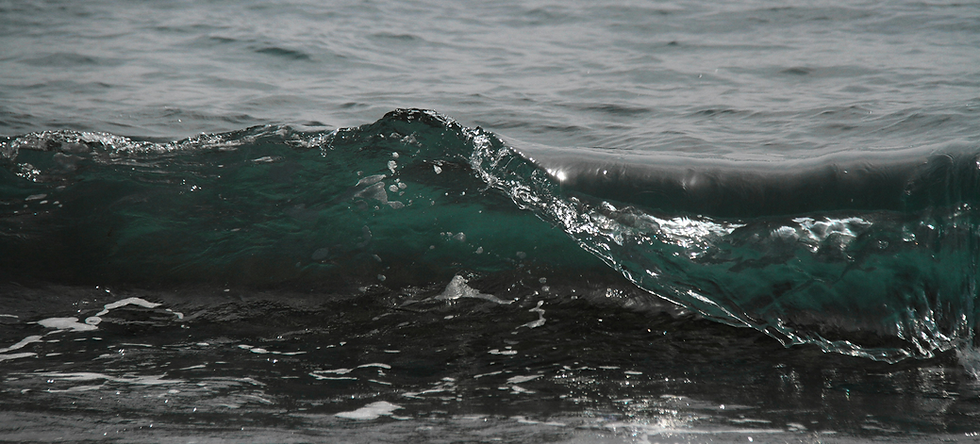 GettyImages-673411370 (6).png