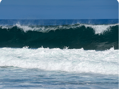 Policy & Capital Solutions