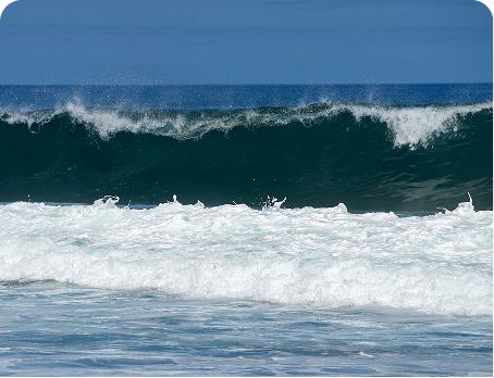 Policy & Capital Solutions