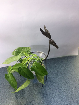 Plant Holder