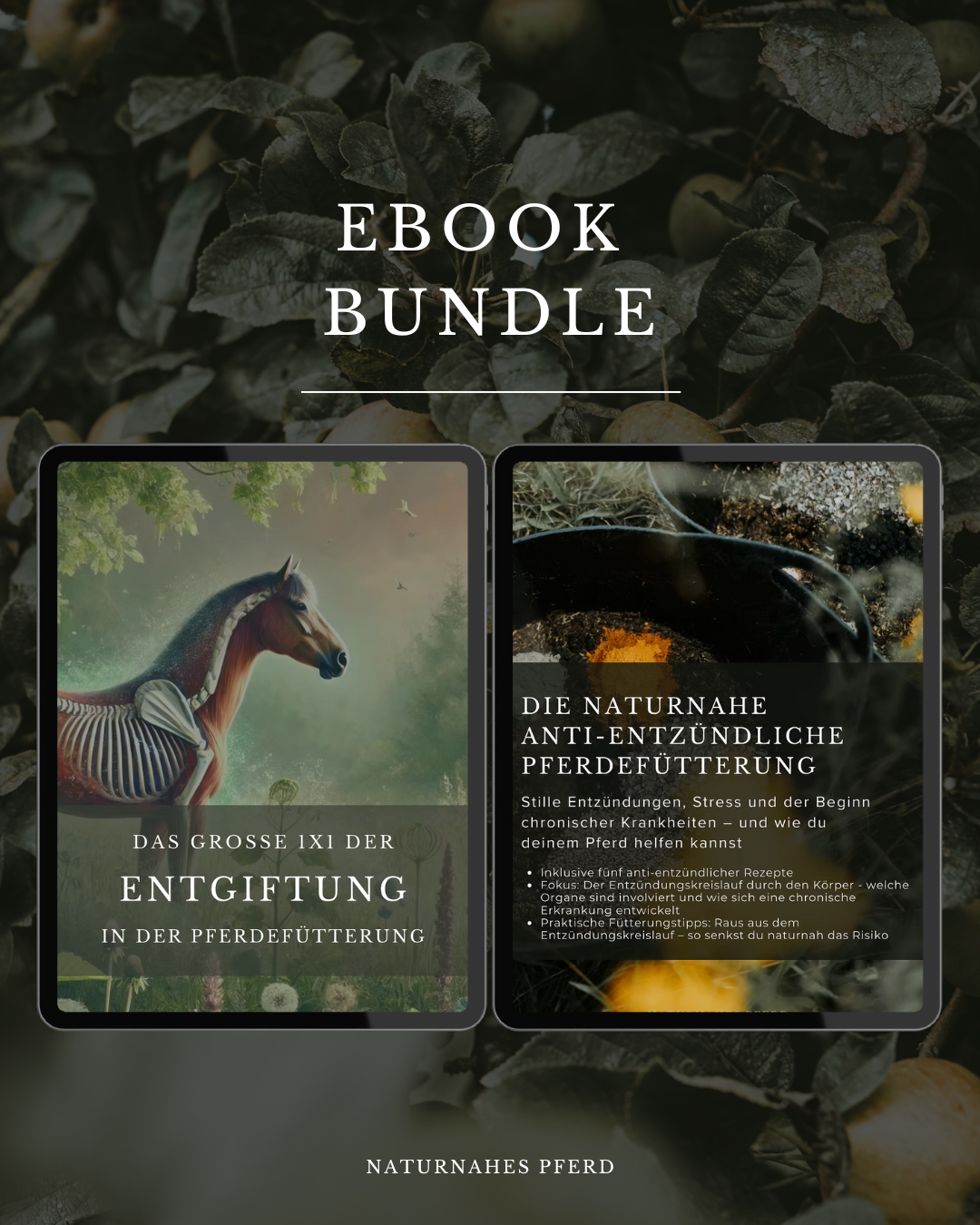 2er Ebook Bundle I Entgiftungs-Bundle