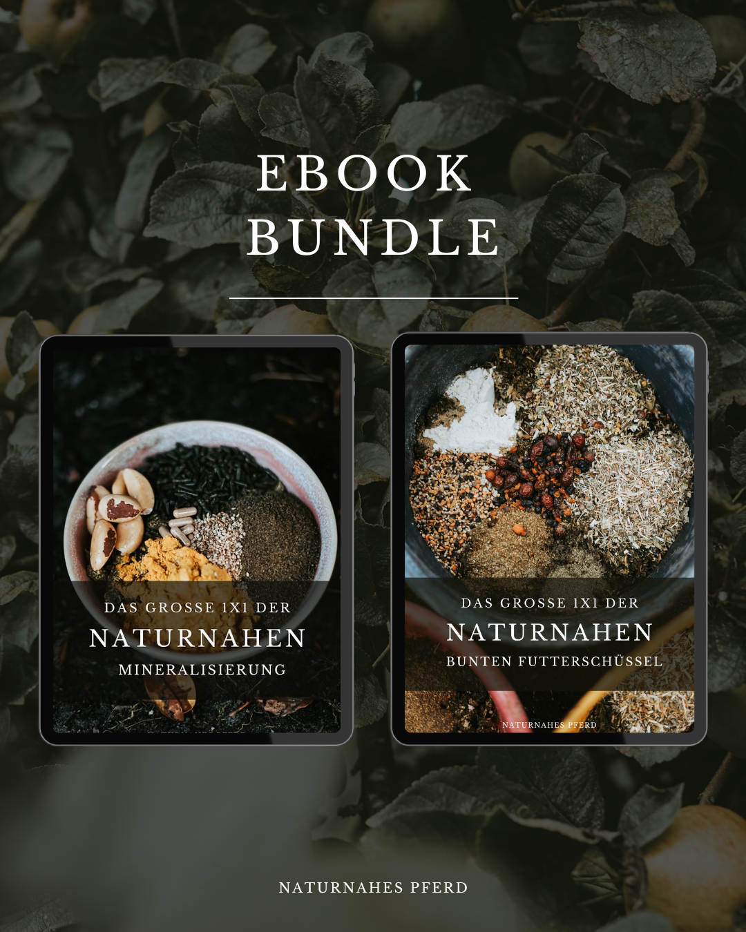 2er Ebook Bundle | Naturnahes Nährstoff Bundle