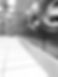 IMG_3460.jpeg