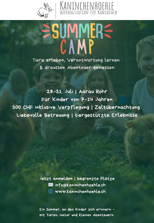 WhatsApp Image 2026-01-27 at 13.04.37.jpeg