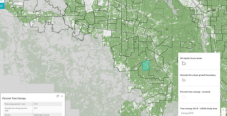 Tree canopy map