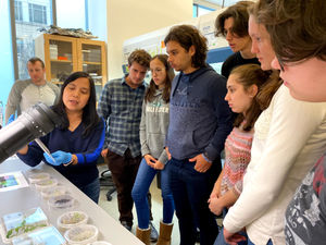 At the UC Berkeley's IGI, students could experience first hand how CRISPR experiments were done