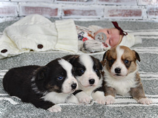 The heart of a breeder ♡