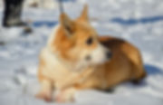 fullsizeoutput_2874.jpeg