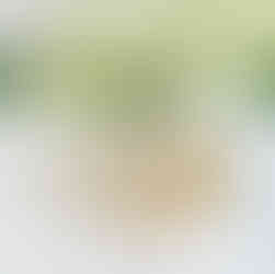 wedding rings and band closeup